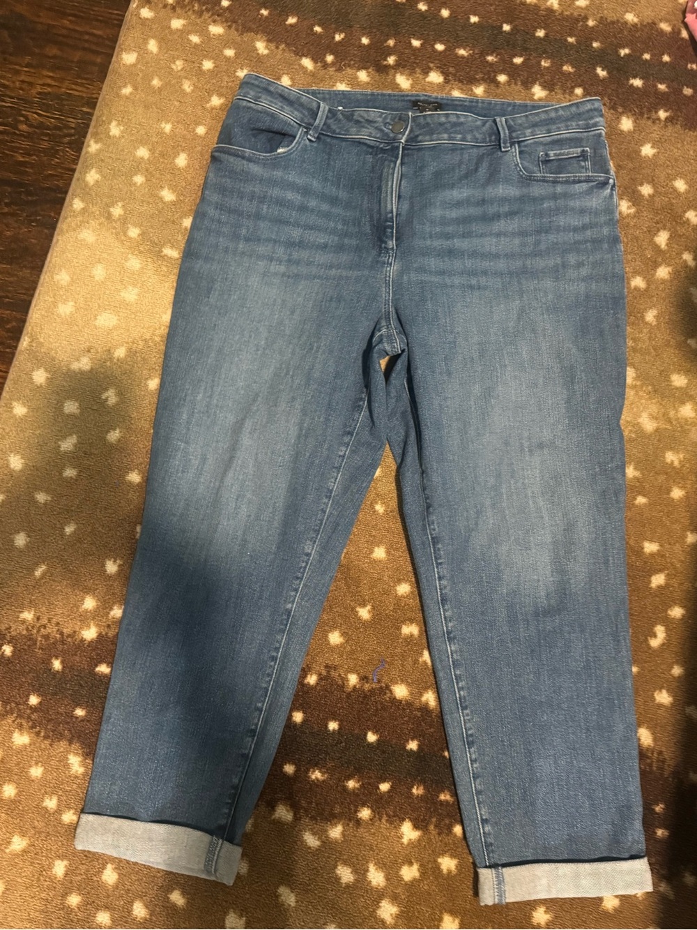 Ann Taylor Factory Women’s Mid Wash Blue Stretch Jeans NWT